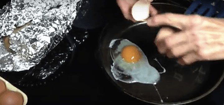 Как определить яйца, которые снесла здоровая курица?
