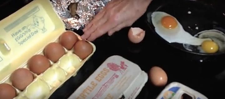 Как определить яйца, которые снесла здоровая курица?