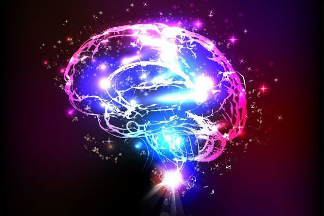 Нейропластика мозга: Как вы мыслите, так и получаете